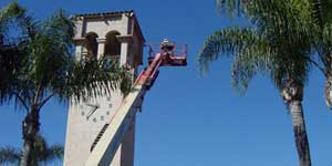 Bee Removal Los Angeles CA Difficult bee removal using a 
      manlift.