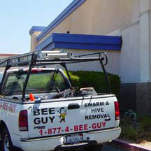 Los Angeles Bee Removal Guys Service Truck